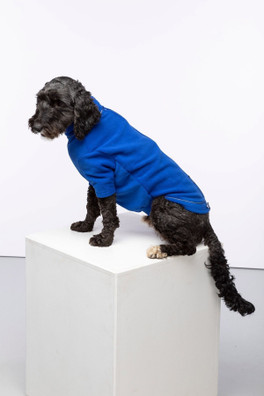 Yapham Fleece Dog  Jumper - Blue