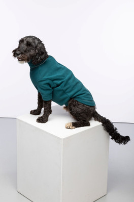 Yapham Fleece Dog  Jumper - Teal