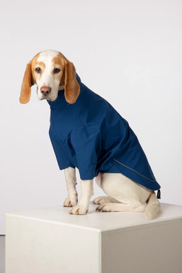 Yapham Dog Raincoats - Blue