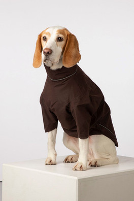 Yapham Dog Raincoats - Dark Brown