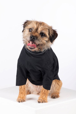 Yapham Dog Raincoats - Black