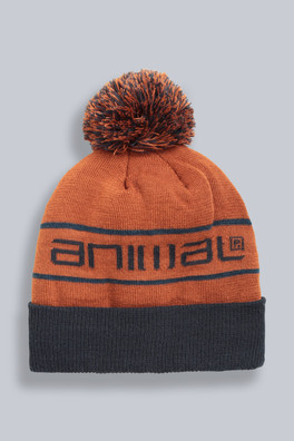 Briggs Ski Pom Beanie - Dark Brown