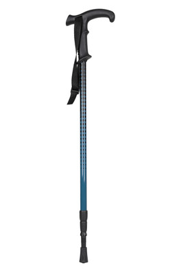 Roamer Walking Pole - Black