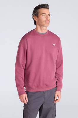 Mountain Scene Men's Graphic Sweatshirt - Burgundy