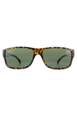 TB9064 Sunglasses - Dark Havana / Green