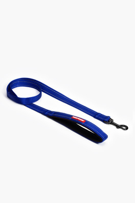 Essential Lead 48" - Blue