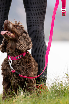 Stink-Proofed Lead - Pink