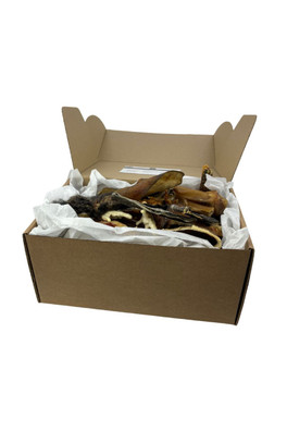 Assorted Natural Dog Treat Box (40 pcs) - Brown