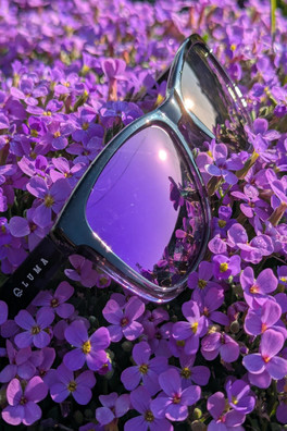 Harlyn Polarised Wayfarer Unisex Sunglasses - Purple