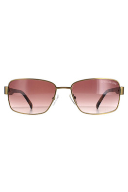 DCS012 Sunglasses - Brown / Brown