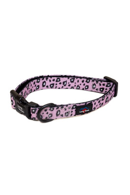 Funk The Dog Padded Collar - Pink Leopard