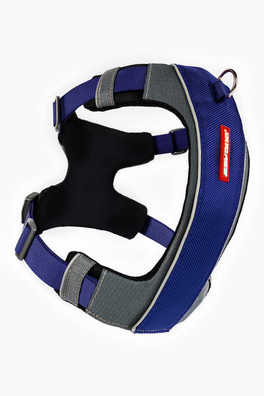 X-Link Harness - Blue