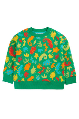 Kids 100% Organic Cotton Superb Sweatshirt - Chameleon Camp