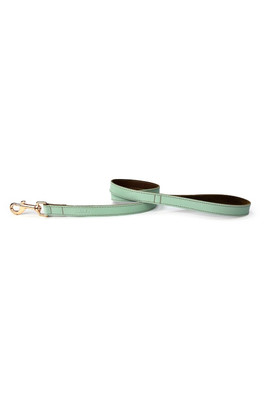 Luxury Padded Leather Dog Lead - Pistachio