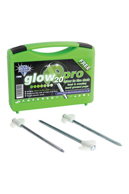 Glow Pegs (case of 20) - Silver