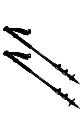 Stride Walking Pole (2 pcs) - Black