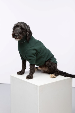 Yapham Fleece Dog  Jumper - Forest