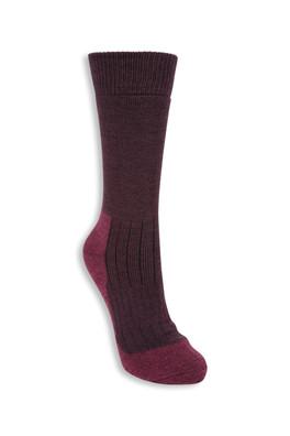 EMS Explorer Womens Merino Thermal Mid-Calf Socks - Berry