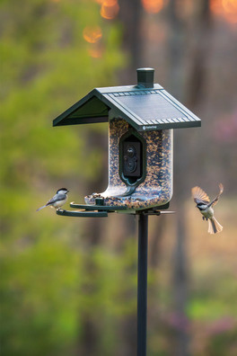 Smart WiFi Bird Feeder - Green