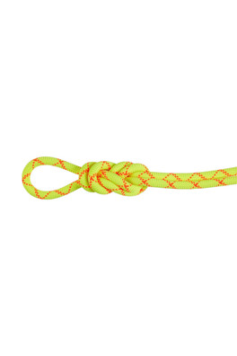 9.5 Alpine Core Protect Dry Rope - Halo-Vibrant Orange