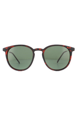 MP33 Round Unisex Sunglasses - Brown / Green Polarised