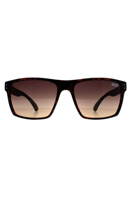 Kobe Square Unisex Sunglasses - Havana / Brown