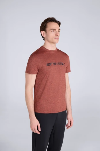Latero Mens Logo Swim Tee - Rust