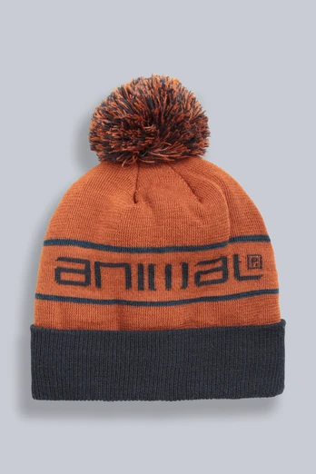 Briggs Ski Pom Beanie - Dark Brown