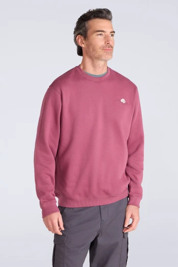 Mountain Scene Men's Graphic Sweatshirt - Burgundy