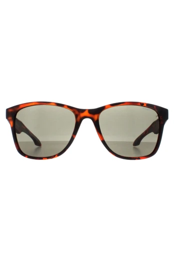 Shore Sunglasses - Matte Tortoise / Grey