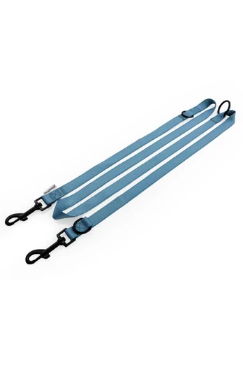 10 in 1 Dog Training Lead 200 x 1.9cm - Blue