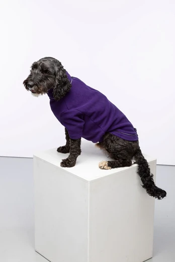 Yapham Fleece Dog  Jumper - Purple