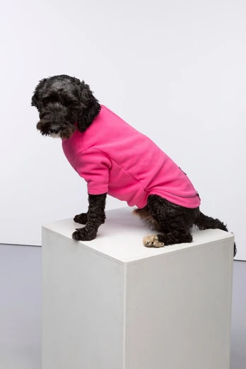 Yapham Fleece Dog  Jumper - Bonbon