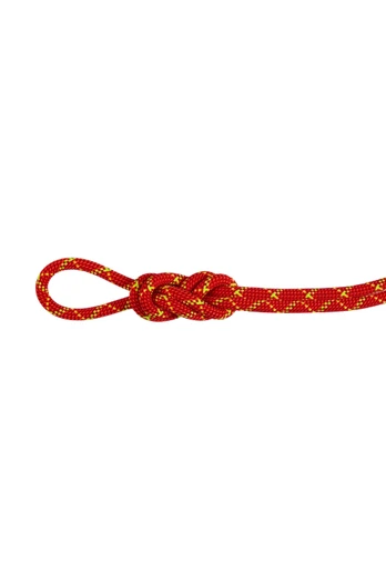 8.0 Alpine Core Protect Dry Rope - Fire-Halo