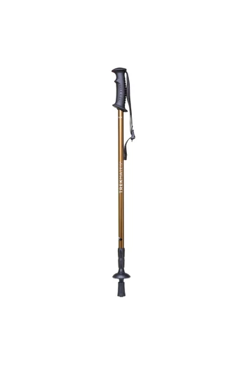 Junior Walker Lock Adjustable Kids Hiking Pole - Gold