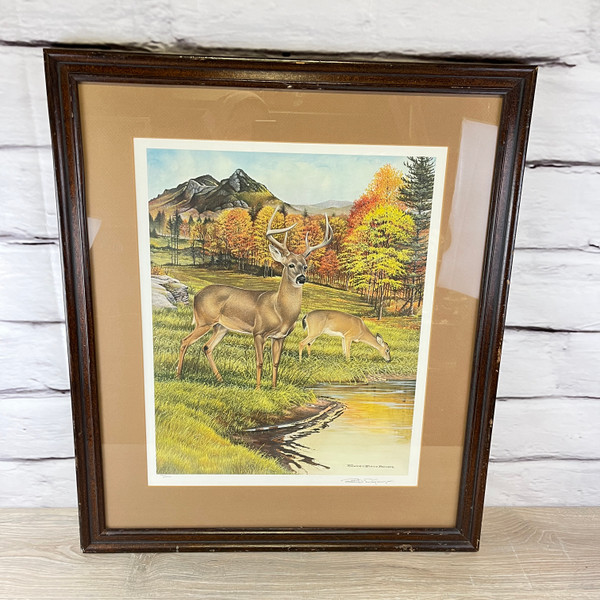 White Tailed Deer Art Print Litho Signed Richard Evans Younger Rustic