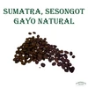 Coffee of the Month - October 2026 Sumatra, Sesongot Gayo Natural 