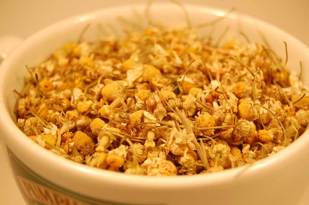 Chamomile Flower Pumphreys Coffee