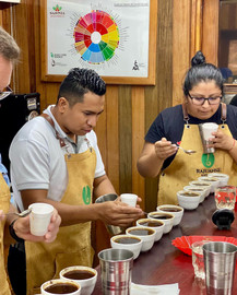 Coffee of the Month February 2022 - Nicaragua Rajuanse Estates – Argelia Coffee of the Month February 2022 - Nicaragua Rajuanse Estates – Argelia