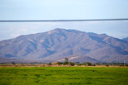 Coffee of the Month - December 2024 Nicaragua, Santa Maria Honey Coffee of the Month - December 2024 Nicaragua, Santa Maria Honey