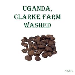 Coffee of the Month - March 2025, Uganda, Clarke Farm Washed