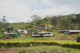 Coffee of the Month - July 2025, Papua New Guinea, Mile High Arokara
