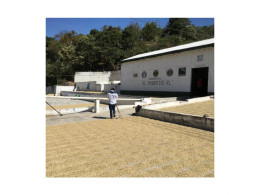 Coffee of the Month - October 2025, Guatemala La Nueva Era