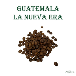 Coffee of the Month - October 2025, Guatemala La Nueva Era