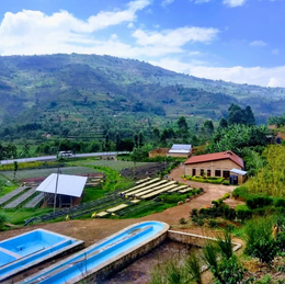 Coffee of the Month - February 2026, Rwanda, Kinini Natural 