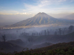 Coffee of the Month - February 2026, Indonesia, Java Kayumas