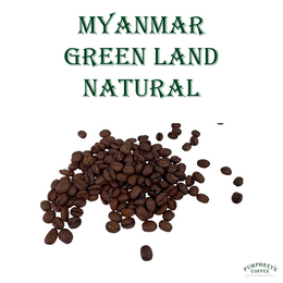 Coffee of the Month - April 2026, Myanmar, Green Land Natural