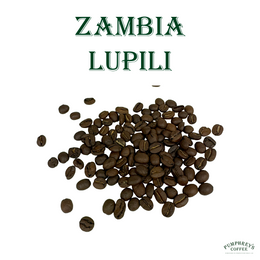Coffee of the Month - August 2026, Zambia Lupili