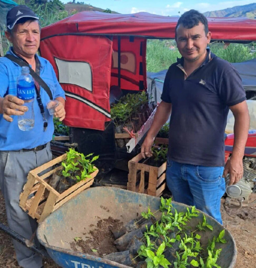 Coffee of the Month - June 2026, Peru El Oso