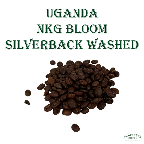 Coffee of the Month - July, Uganda, NKG Bloom Silverback Washed